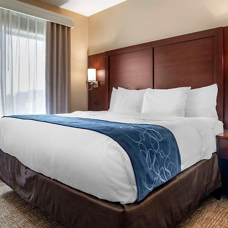 Comfort Suites Pell City I-20 Exit 158 Esterno foto