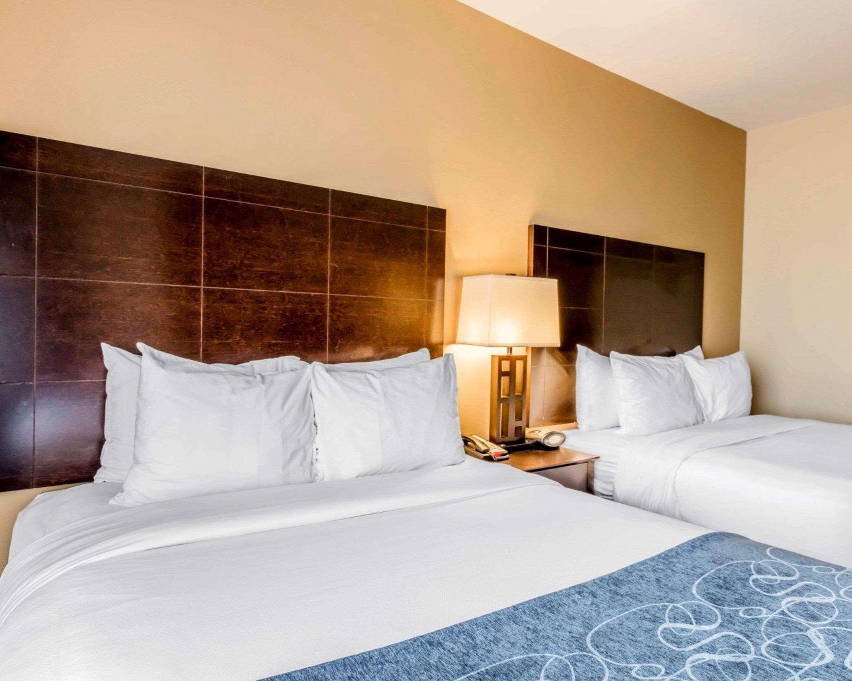 Comfort Suites Pell City I-20 Exit 158 Esterno foto