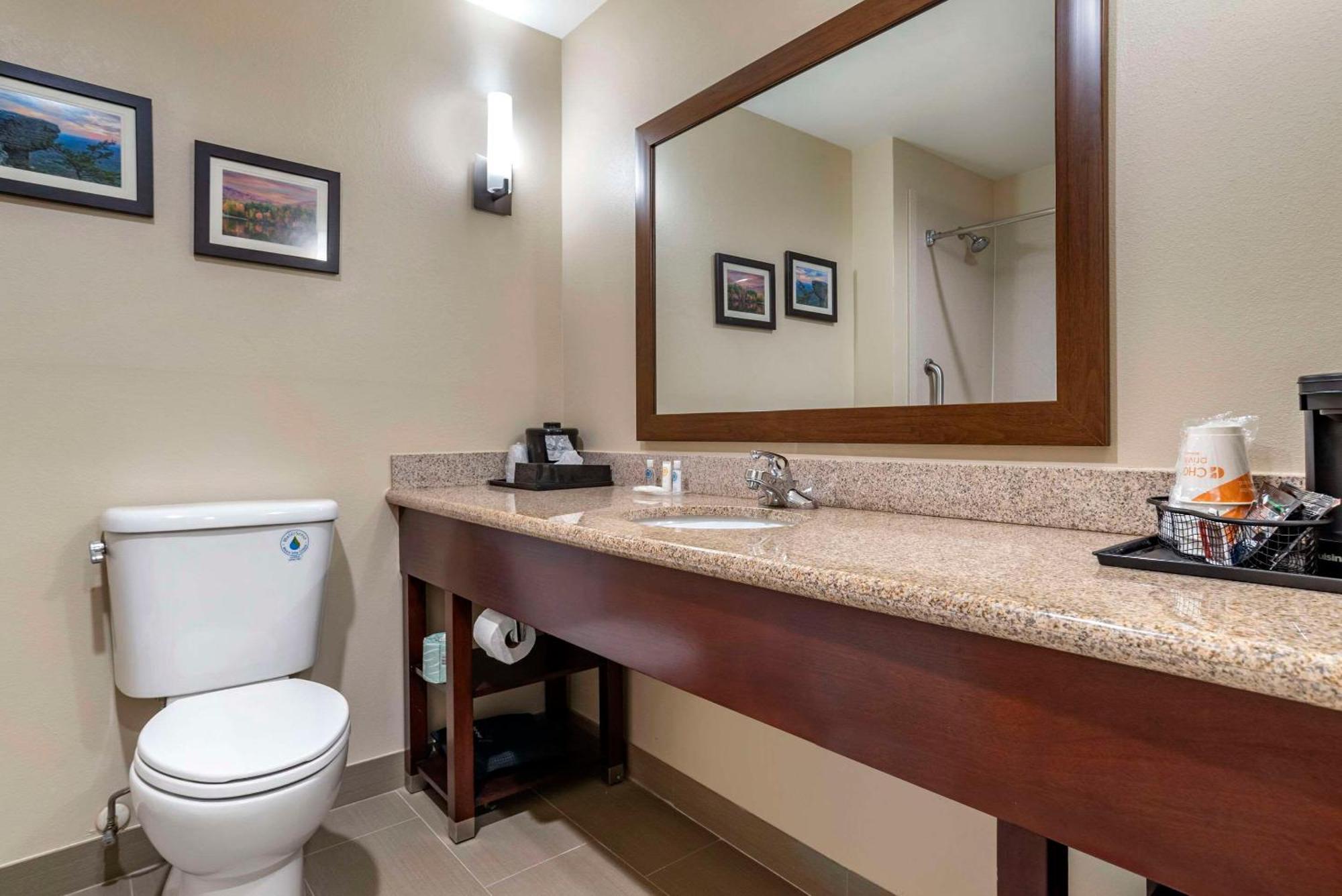 Comfort Suites Pell City I-20 Exit 158 Esterno foto